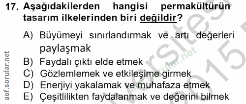 Soru 17