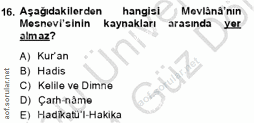 Soru 16