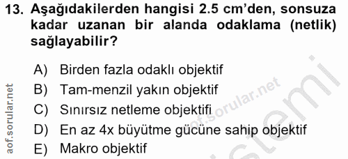 Soru 13