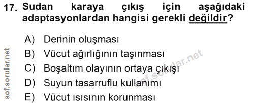 Soru 17