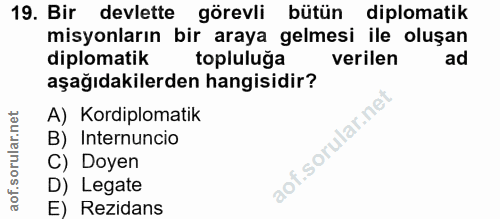 Soru 19