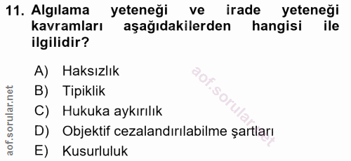 Soru 11