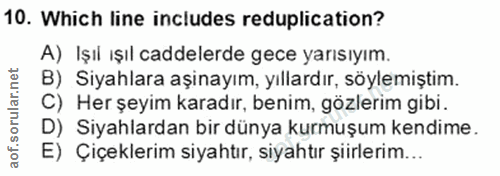Soru 10