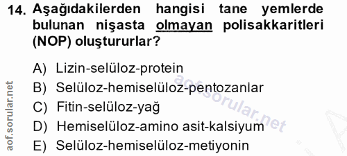 Soru 14