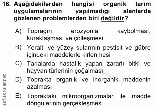 Soru 16