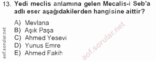 Soru 13