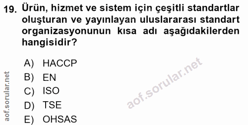 Soru 19
