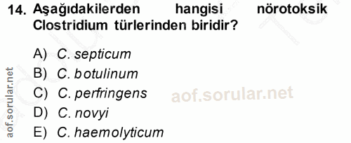 Soru 14