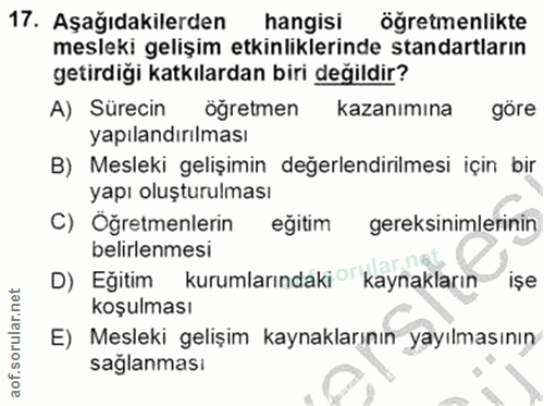 Soru 17