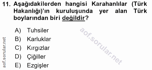 Soru 11
