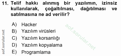 Soru 11