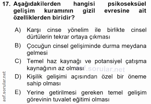 Soru 17