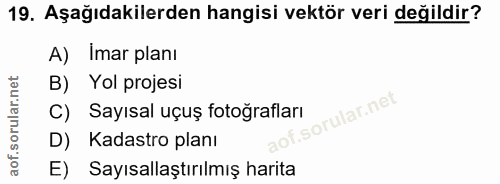 Soru 19