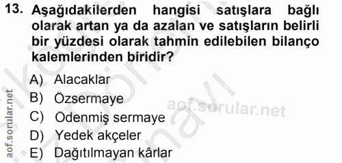 Soru 13
