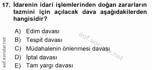 Soru 17