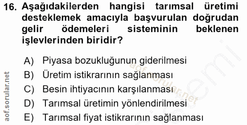 Soru 16