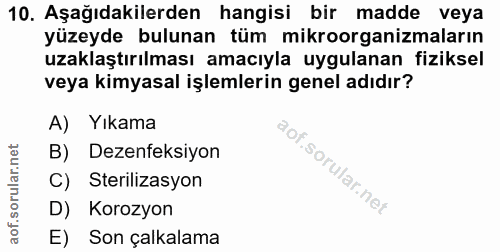 Soru 10