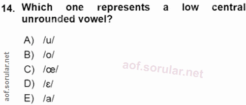 Soru 14