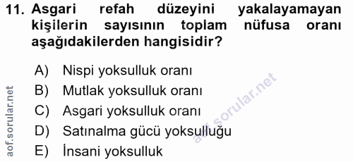 Soru 11