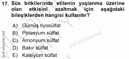 Soru 17