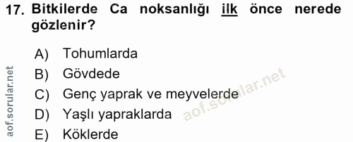 Soru 17