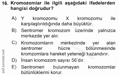Soru 16