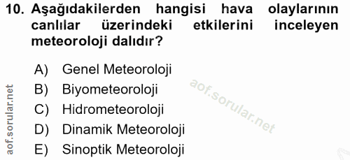 Soru 10