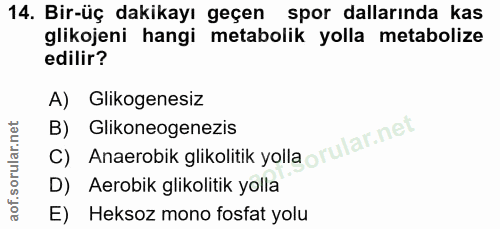 Soru 14
