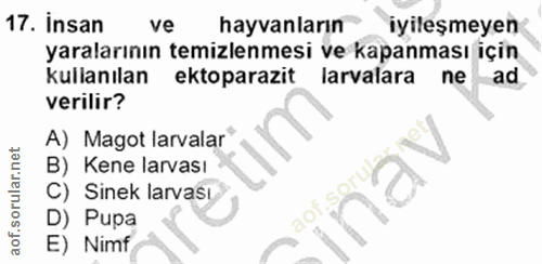 Soru 17