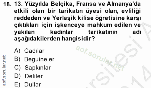 Soru 18