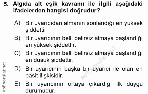 Soru 5