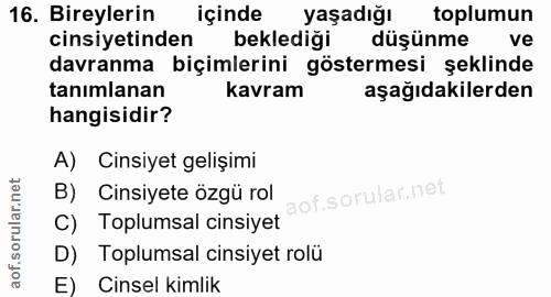 Soru 16