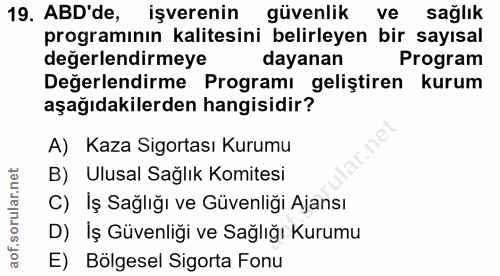 Soru 19