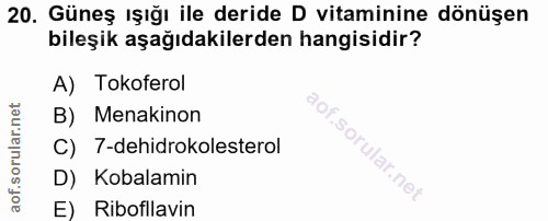 Soru 20