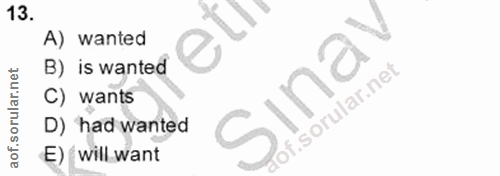 Soru 13