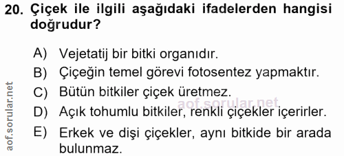 Soru 20