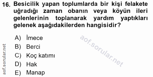 Soru 16