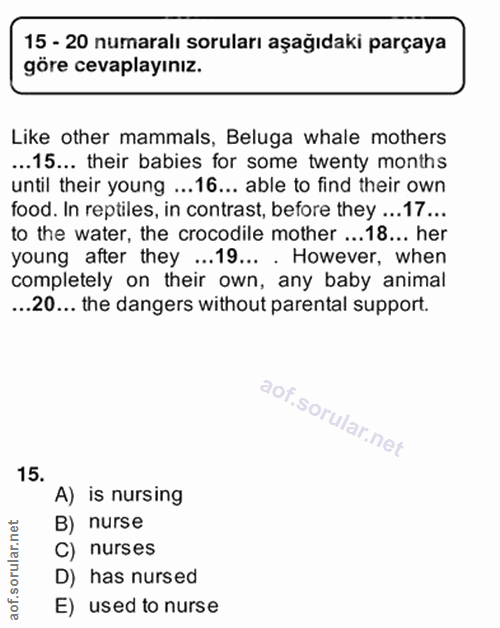 Soru 15