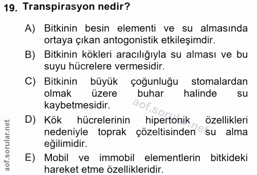 Soru 19
