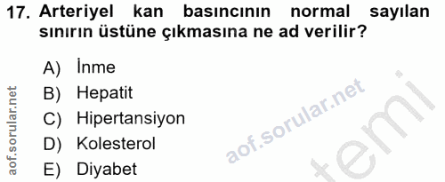 Soru 17
