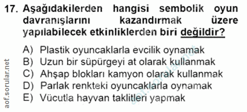 Soru 17