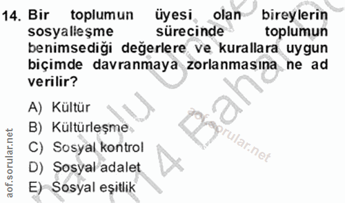 Soru 14