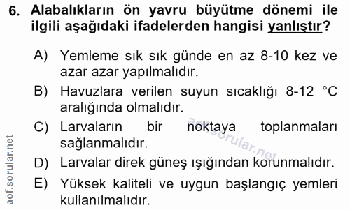 Soru 6