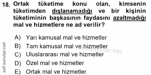 Soru 18