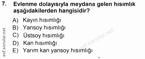 Soru 7