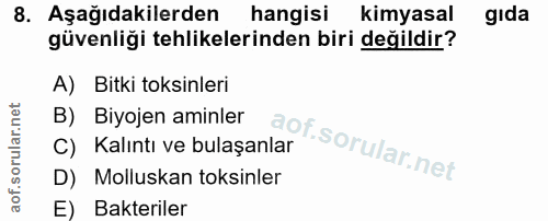 Soru 8