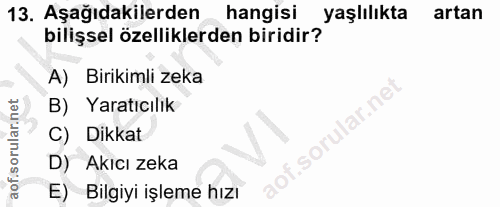 Soru 13