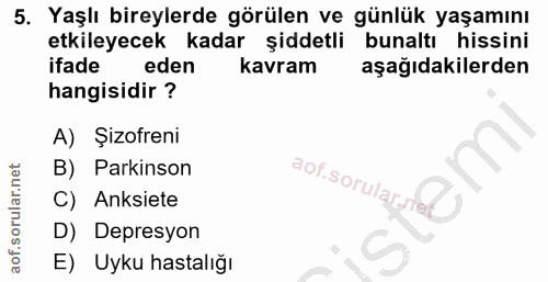 Soru 5