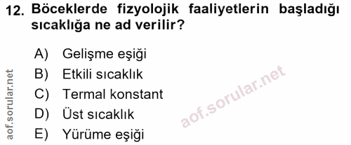 Soru 12
