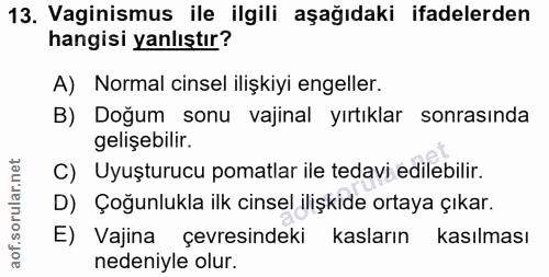 Soru 13